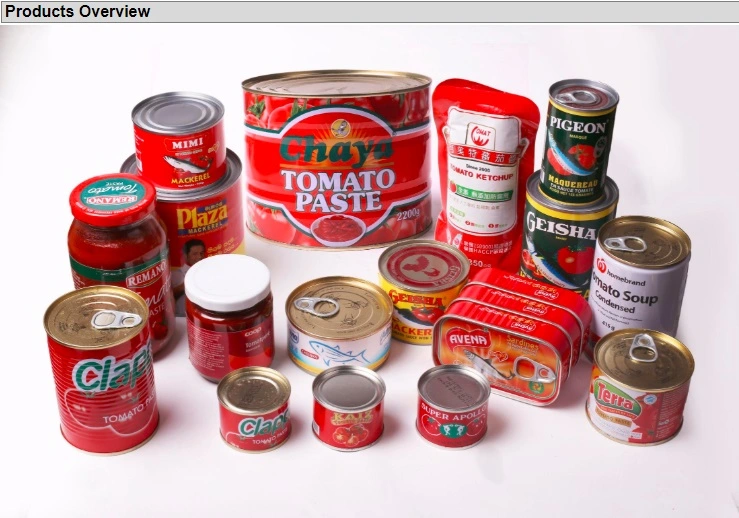 Canned Jack Mackerel in Brine Best Canned Mackerel Brands