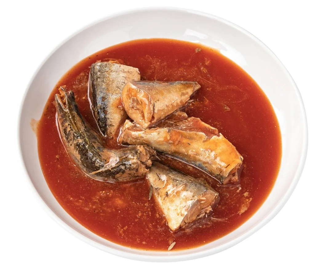 Canned Sea Food Sardine Canned in Tomato Sauce Sardine Fish on Sale