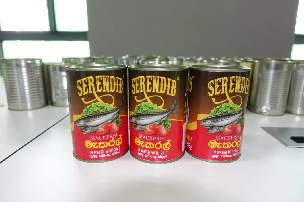 Canned Seafood Canned Mackerel in Brine/Water Export by China Wholesale