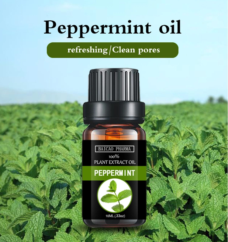 Fragrance Oil Perfume Oil Peppermint Oil Cosmetic Base Oil