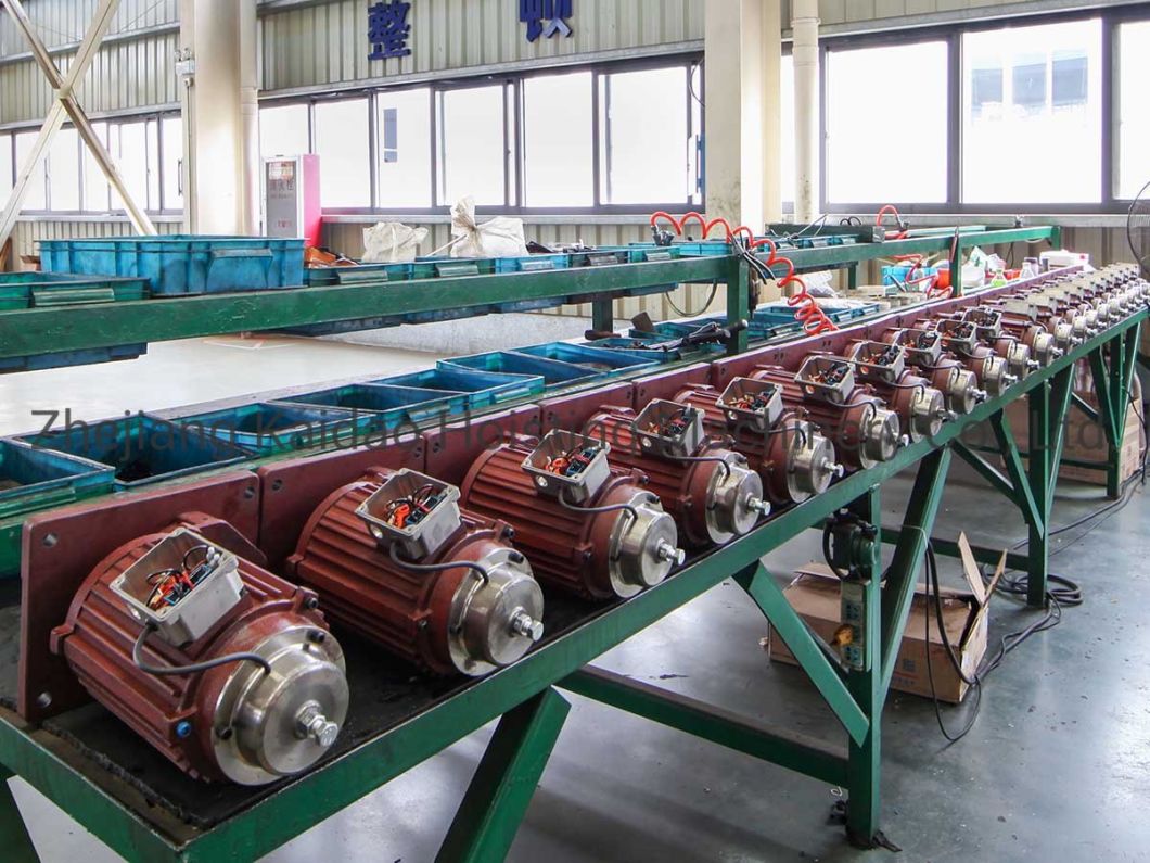 High Torque Motor/Crane Geared Motor/Electrical Motor