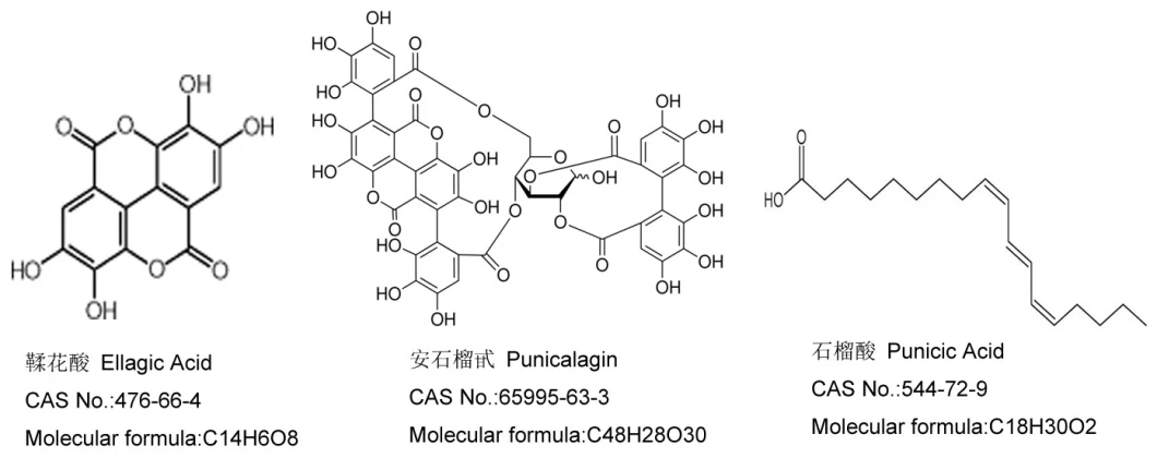 40% Punicalagin/ 60% Ellagic Acid/ Pomegranate Extract for Cosmetics