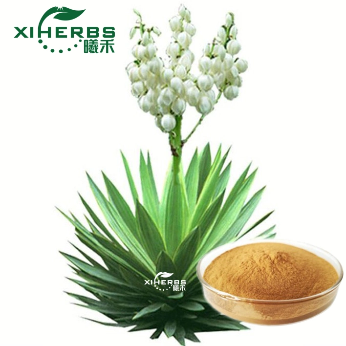 Yucca Extract Fami-QS Factory Supply Yucca Extract Sarsaponin 30%Saponins in Bulk Yucca Schidigera