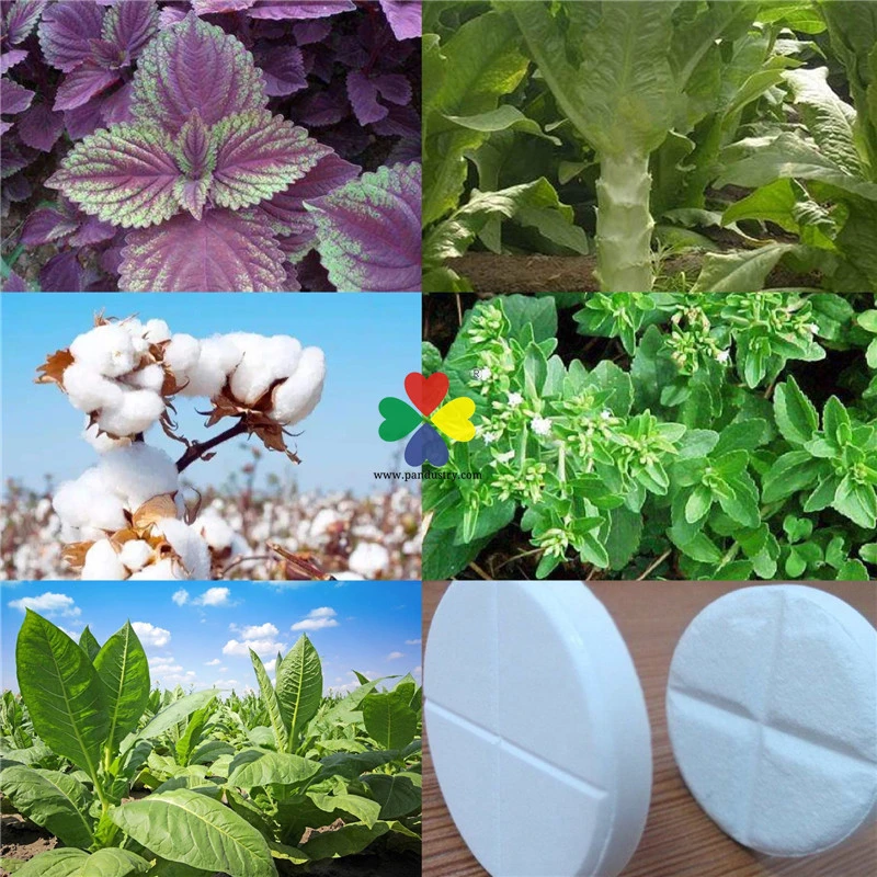 Tissue Culture Plants Gibrallic Acid Giberelin Ga3 Tablet 20%Tb