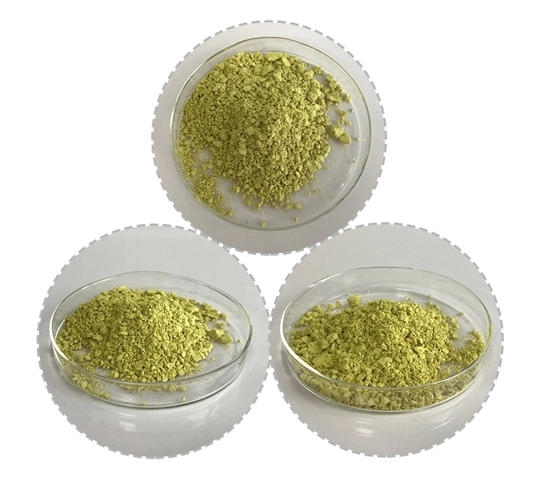 Carnosic Acid Rosmarinic Acid Ursolic Acid Powder Rosemary Leaf Extract