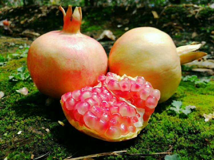 High Quality Pomegranate Peel Extract Ellagic Acid Reduces Diabetic Retinopathy