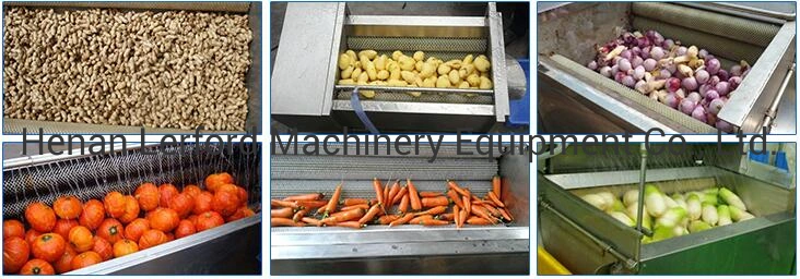 Garlic Powder Making Machine Ginger Cutting Washing Drying Machine