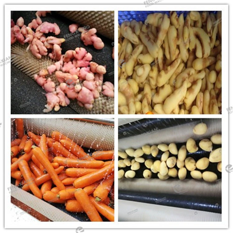 Mstp-1000 Brush Type Potato Washing Peeling Machine Carrot Ginger Washer Cassava Peeler