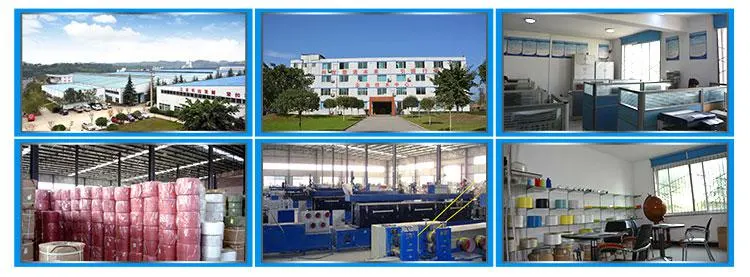 1000kg H Pet PP PE Hot Washing Drying Machine and Bottle Recycling Line