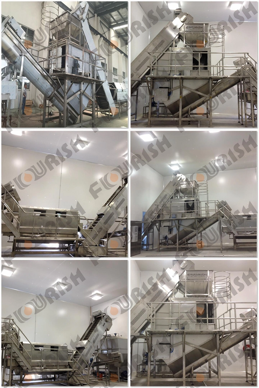 Carrot Potato Brush Washer and Peeler/Vegetable Washing Machine