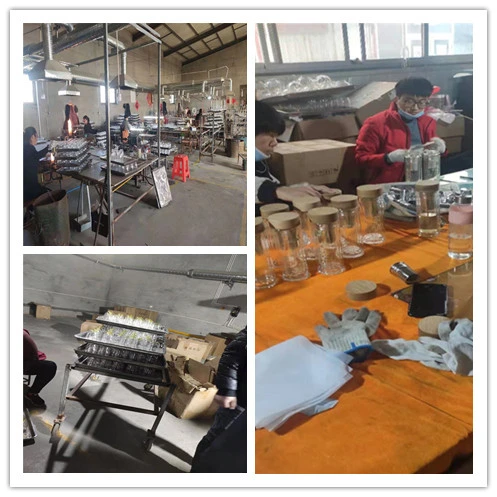 Factory Supply Glass Cups Coffee Cup Manufacturers Insulated Borosilicate Coffee Cup Double Wall Glass Cup