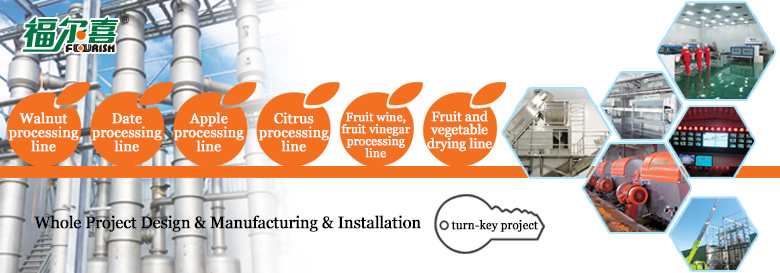 Automatic Brush Potato Washing Peeling Washer Peeler Line Machine