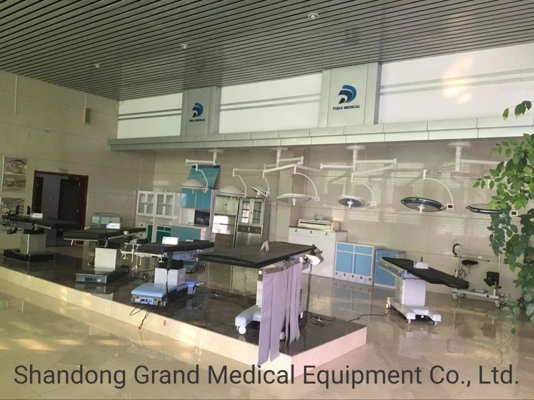 Factory Price Medical Device Turnover Hospital Bed Electric Adjusted Hospital Bed for Hospital Equipment with CE FDA Medical Operating Patient Nursing Bed