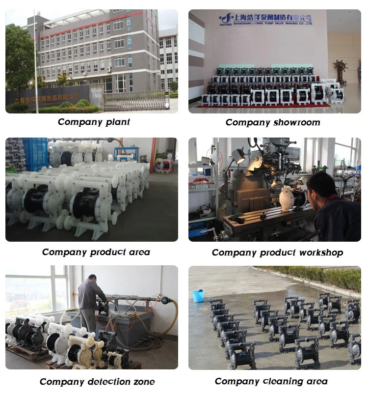 China Explosion-Proof Pneumatic Stainless Steel Diaphragm Pumps