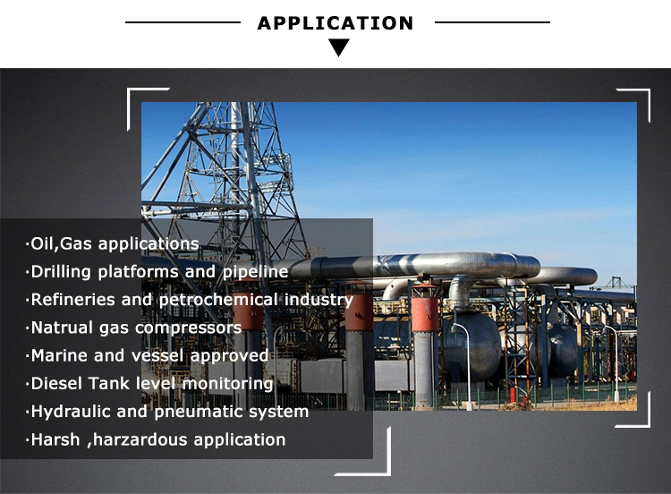 Analog Absolue Piezoresistive 4~20mA DC Liquids Oil Atex Explosion-Proof Pressure Sensor