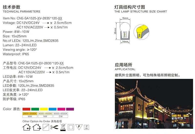 DC 12V 24V Low Voltage AC 110V 220V High Voltage SMD2835 Standard LED Neon Flex