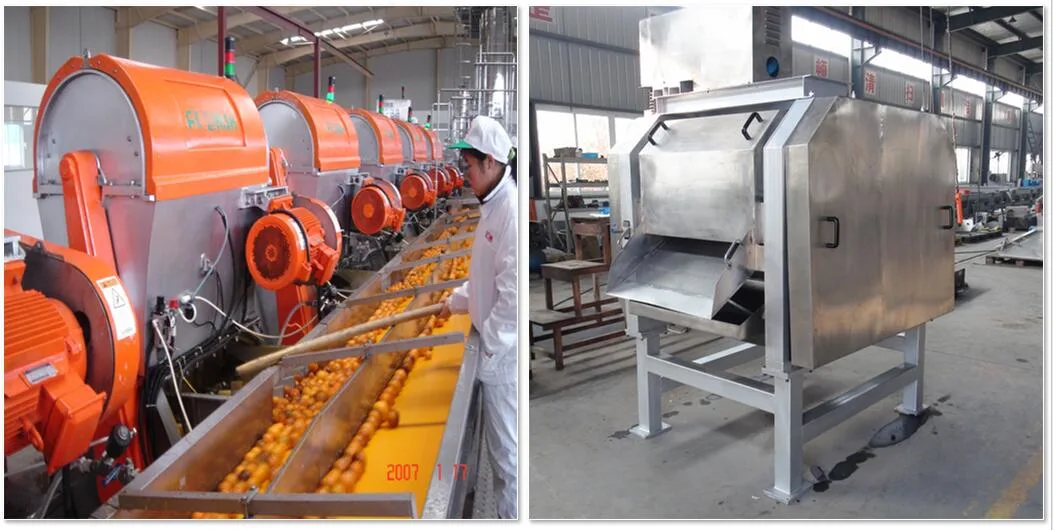 Orange Processing Line Citrus Processing Line Grape Fruit Processing Line
