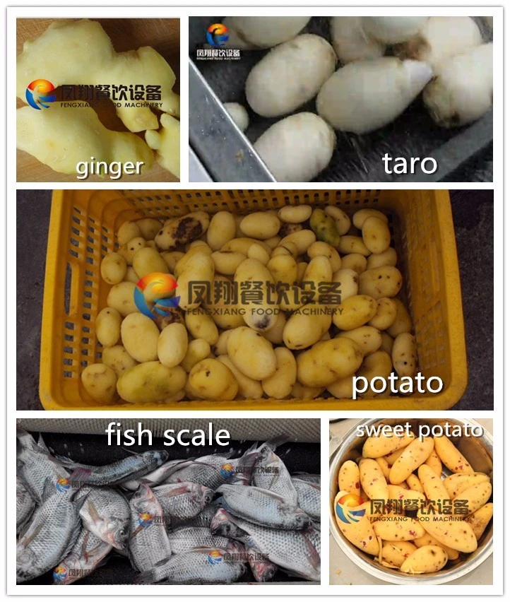 Best Price Cassava Peeling Machine Fish Cleaning Machine Fish Scaling Machine