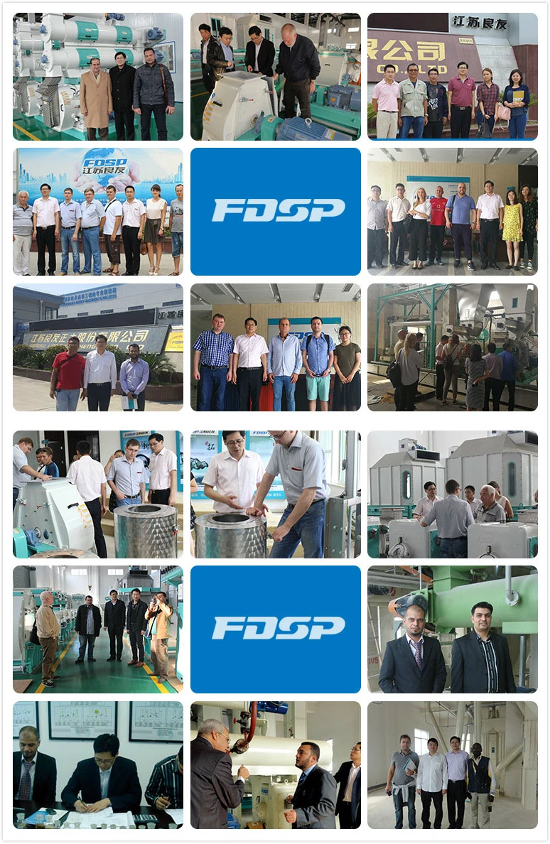 Best Technical Service Offer Sinking Fish Feed Pellet Processing Line