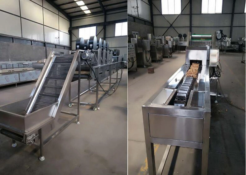 Frozen Potato Chips Machine Manufacturer Potato Sticks Making Machine French Frying Machine