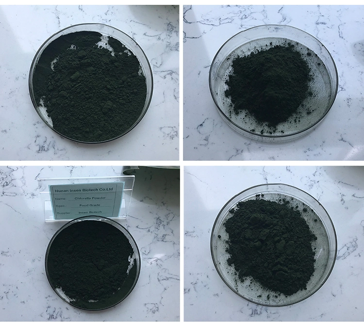 Wholesale Organic Spirulina Powder Chlorella Vulgaris Powder