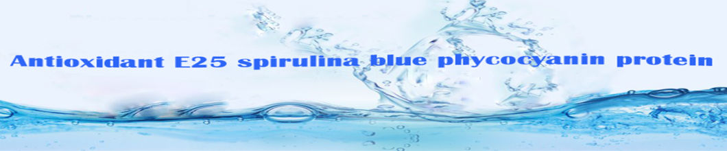 E25 Spirulina Blue Phycocyanin Protein for Antioxidant Blue Powder CAS 11016-15-2 Best Price