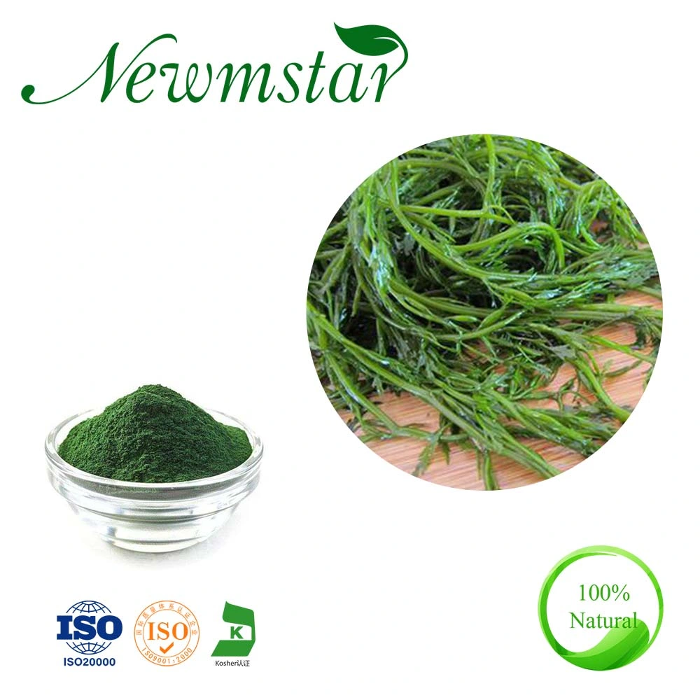 High Quality Nutrition Food Spirulina Protein Powder Algae Spirulina Price ISO9001 Certified