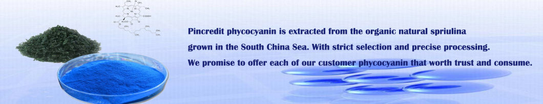 E25 Spirulina Blue Phycocyanin Protein for Antioxidant Blue Powder CAS 11016-15-2 Best Price