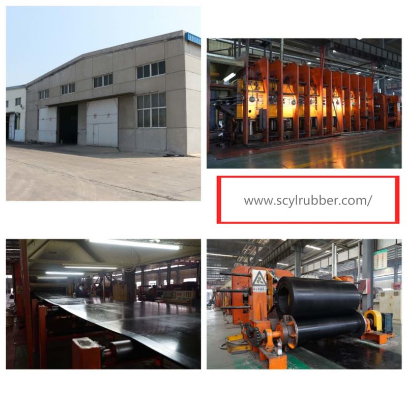 Farm Use Rubber Mat/Flat Belting for Feeding Animals
