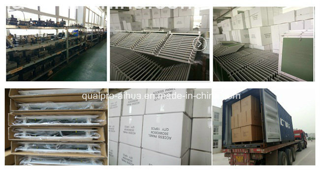 House Decoration Roof Access Hatches AP7210