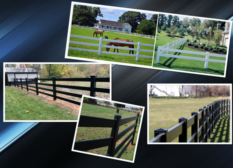 Factory Manufacture Steel Guardrail Farm/ Home Iron Guardrail Farm/Guardrail Farm, Security Guardrail Farm