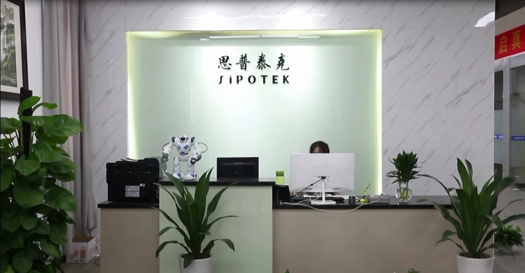 Sipotek Automatic Optical Vision Inspection Sorting Machine with Xyz Platform