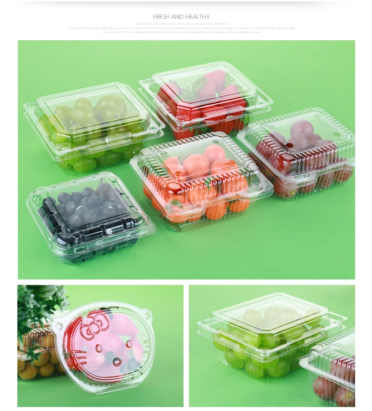 Plastic Food Plate Cup Lid Making Machine