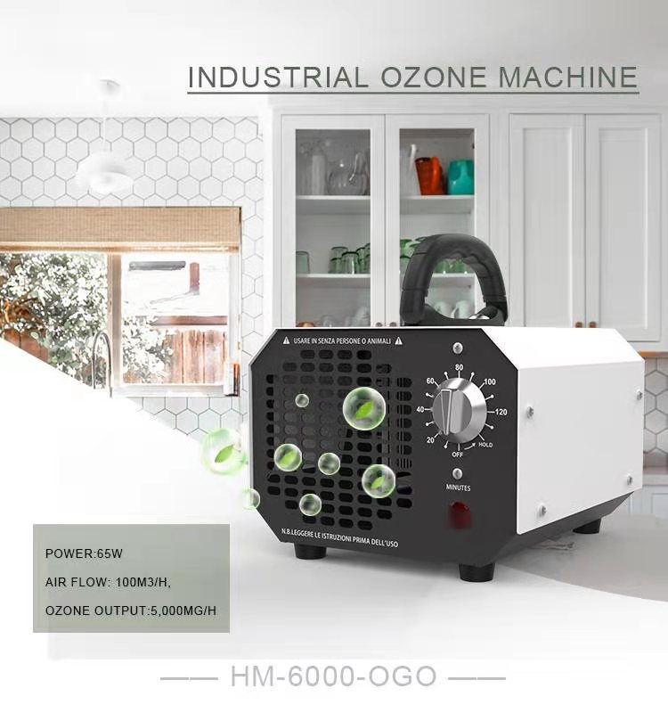Ozone Air Purifier Ozone Generator 6000mg/H for Home