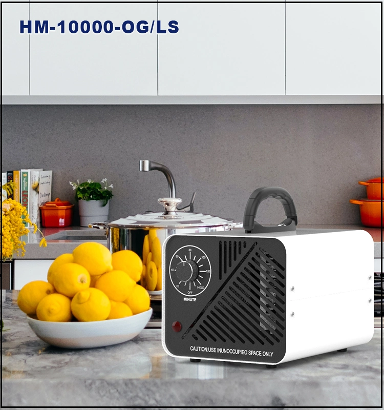 High Capacity Powerful Ozone Generator O3 Ionizer Machine Commercial