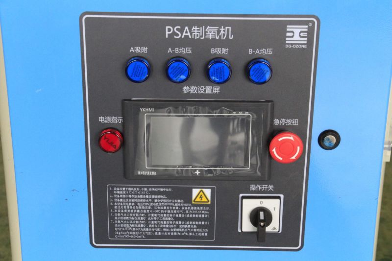Longevity Ozone Generator Industrial Psa Oxygen Generator Dg-Zy3