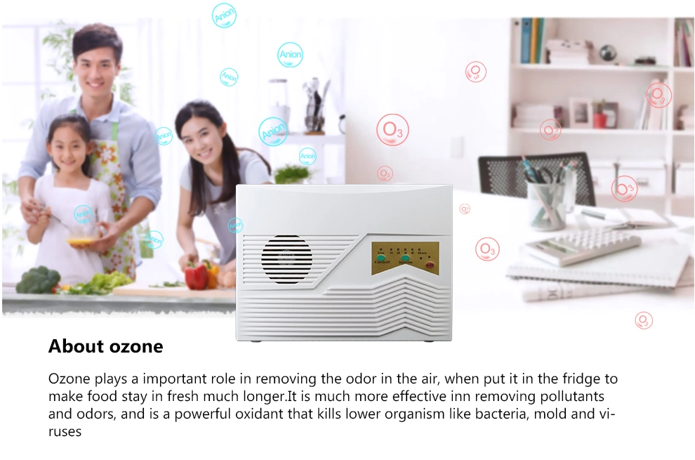 Hotsale Ozone Generator Air Water Purifier Ozone Sterilizer