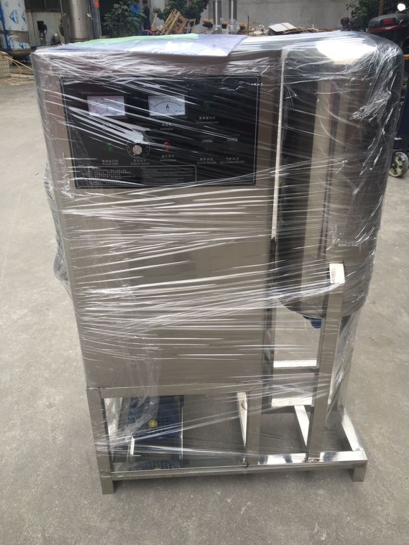Ozone Generator for Resort Swimming Pool Sanitation 20g