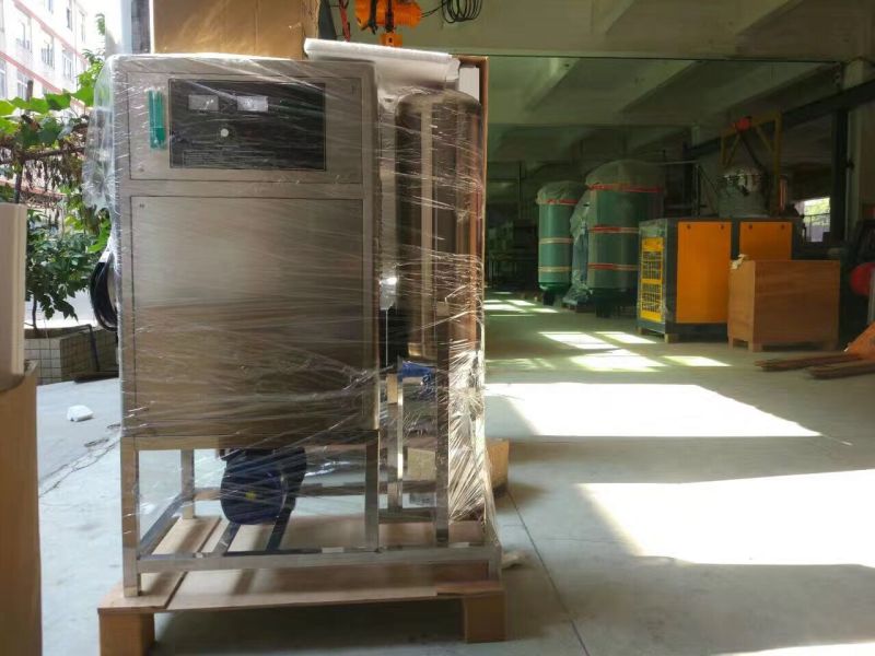 Ozone Generator 50g/H for Public Swimming Pool