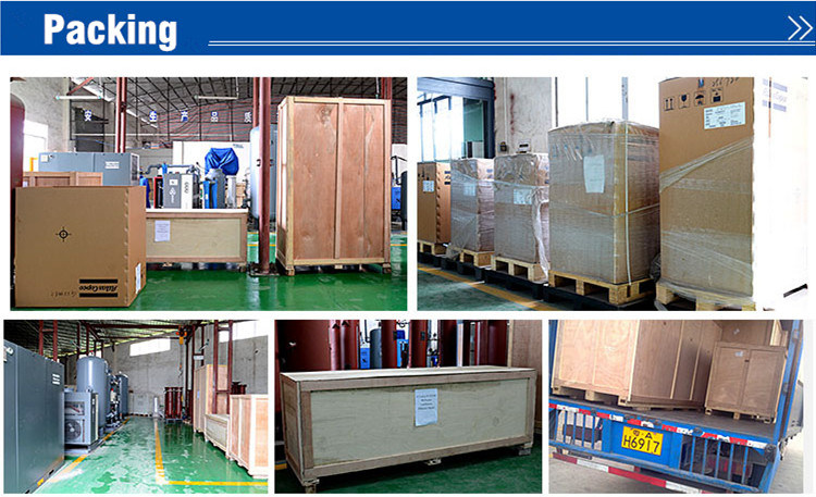 Psa Nitrogen Gas Generator for Heat Treatment