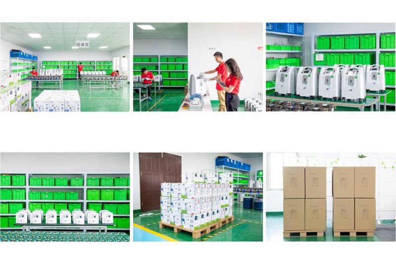 Oxygen Generator for Supplying Oxygen to Ozone Equipment
