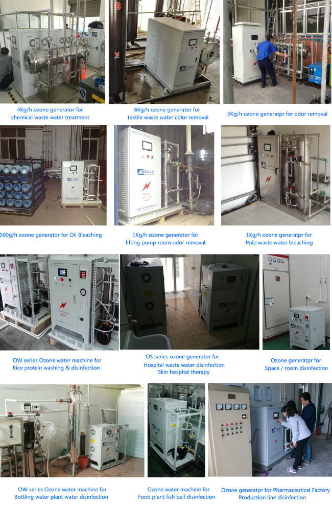 300g/H Swimming Pool Ozone Generator for Water Disinfection