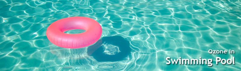 Good Quality Mini Ozone Generator for Swimming Pool