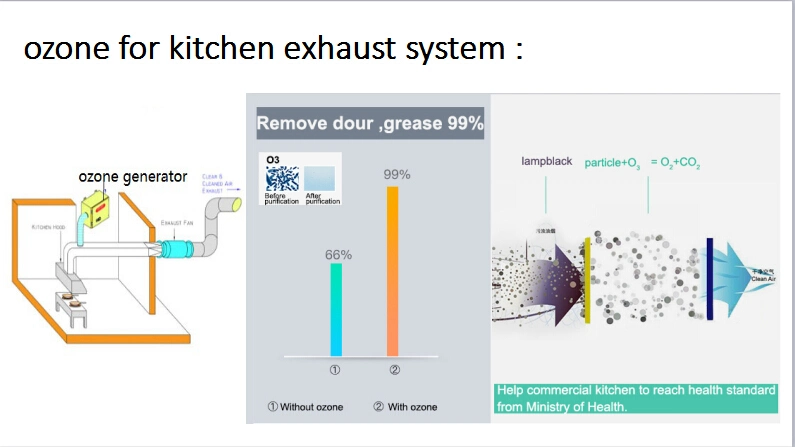 Commercial Ozonizer Ozone Generator for Kitchen Exhaust Dust Cleaning