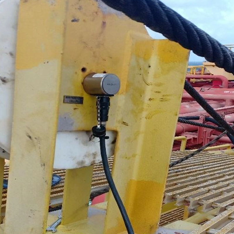 Load Pin Cell for Offshore Marine Crane