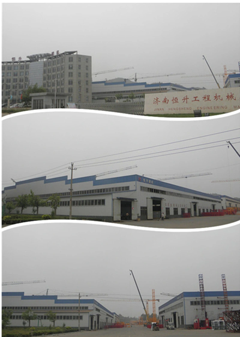 8t Qtz Ce SGS China Supplier Cranes for Sale