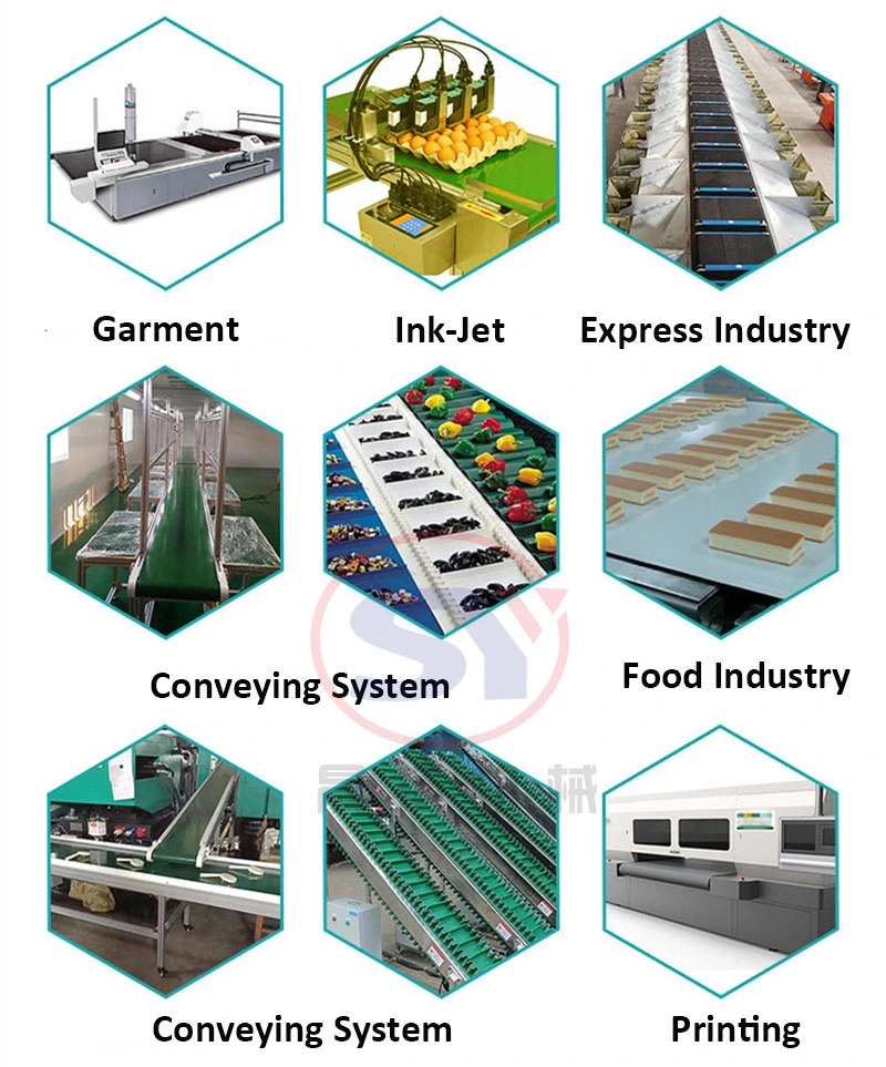 China Supplier Sidewall Belt Food Conveyor with Hopper (SYAP)