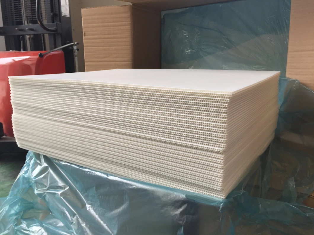 PP Corrugated Sheet/Coroplast Sheet/Correx Sheet for Printing and Packing