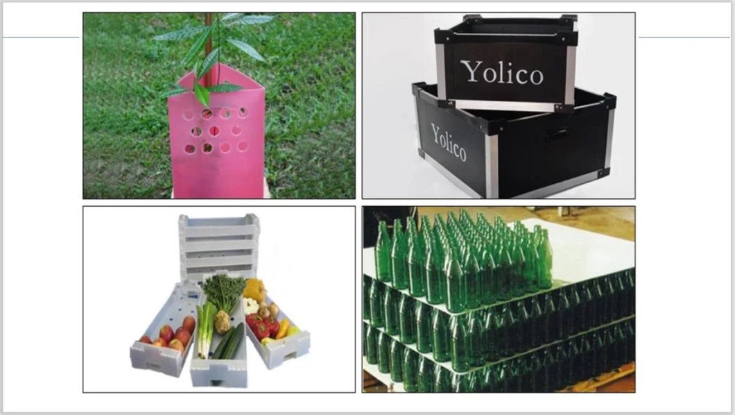 Good Quality Plastic Tree Shelters Coroplast Plant Sheet Protectors