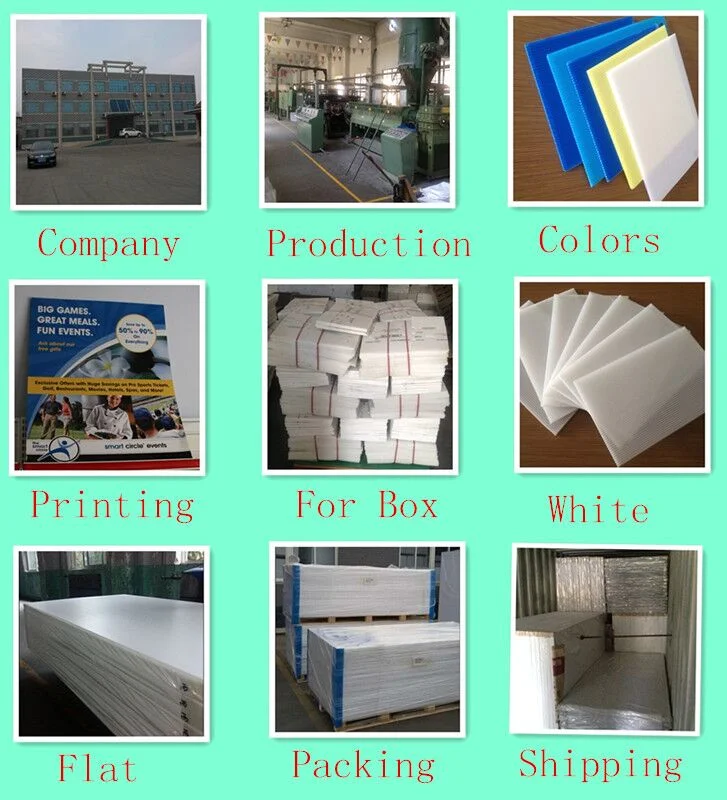 Twin Wall Corrugated Plastic Sheet Coroplast PP Hollow Sheet Fluted Corflute Board